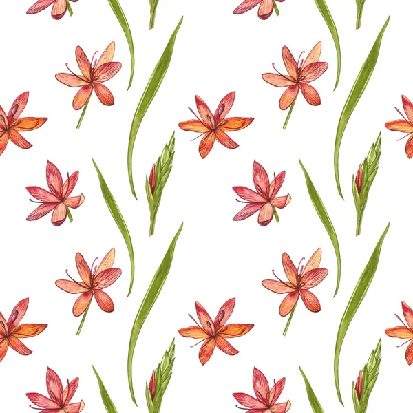 Kafir Zambak çiçekleri. Kusursuz desenler. El çizilmiş çiçek ve bitkilerin toplanması. Botanik. Ayarlamak. Vintage çiçekler. Çiçek ve yaprakların suluboya seti, el çizilmiş çiçek illüstrasyon izole bir