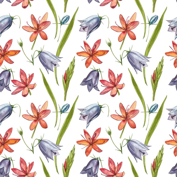 Kafir Zambak çiçekleri. Kusursuz desenler. El çizilmiş çiçek ve bitkilerin toplanması. Botanik. Ayarlamak. Vintage çiçekler. Çiçek ve yaprakların suluboya seti, el çizilmiş çiçek illüstrasyon izole bir