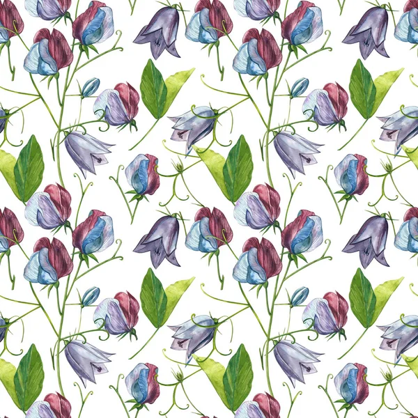 Kusursuz desenler. Tatlı Bezelye çiçek ve yaprakları, el çizilmiş çiçek illüstrasyon beyaz bir arka plan üzerinde izole suluboya seti. Toplama bahçe ve yabani ot, çiçekler, dalları. Botanik sanatı.