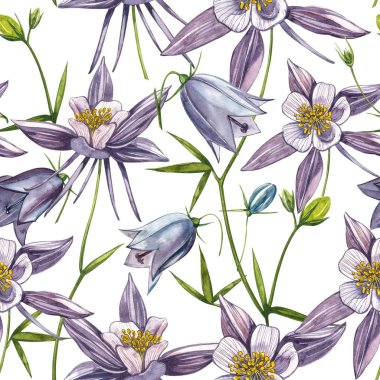 Çift Columbine çiçekleri. Kusursuz desen. El çizilmiş çiçek ve bitkilerin toplanması. Çiçek ve yaprakların suluboya seti, beyaz bir arka plan üzerinde izole el çizilmiş çiçek illüstrasyon. Botanik