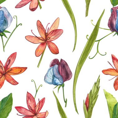 Kafir Zambak çiçekleri. Kusursuz desenler. El çizilmiş çiçek ve bitkilerin toplanması. Botanik. Ayarlamak. Vintage çiçekler. Çiçek ve yaprakların suluboya seti, el çizilmiş çiçek illüstrasyon izole bir