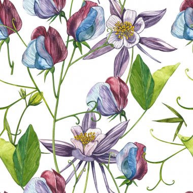 Kusursuz desenler. Tatlı Bezelye çiçek ve yaprakları, el çizilmiş çiçek illüstrasyon beyaz bir arka plan üzerinde izole suluboya seti. Toplama bahçe ve yabani ot, çiçekler, dalları. Botanik sanatı.