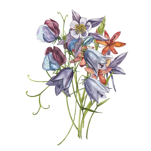 Çan çiçeği çiçekleri, yapraklar ve buketler. Çiçek ve yaprakların suluboya seti, beyaz bir arka plan üzerinde izole el çizilmiş çiçek illüstrasyon. Toplama bahçe ve yabani ot, çiçekler, dalları