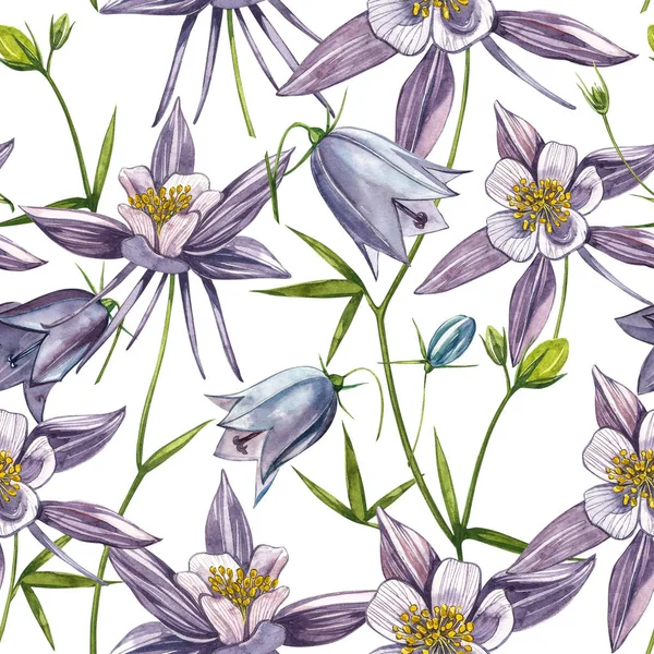 Çift Columbine çiçekleri. Kusursuz desen. El çizilmiş çiçek ve bitkilerin toplanması. Çiçek ve yaprakların suluboya seti, beyaz bir arka plan üzerinde izole el çizilmiş çiçek illüstrasyon. Botanik