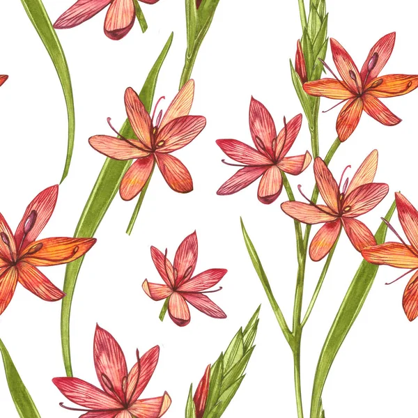 Kafir Zambak çiçekleri. Kusursuz desenler. El çizilmiş çiçek ve bitkilerin toplanması. Botanik. Ayarlamak. Vintage çiçekler. Çiçek ve yaprakların suluboya seti, el çizilmiş çiçek illüstrasyon izole bir