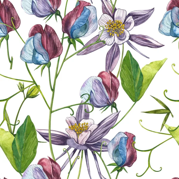 Kusursuz desenler. Tatlı Bezelye çiçek ve yaprakları, el çizilmiş çiçek illüstrasyon beyaz bir arka plan üzerinde izole suluboya seti. Toplama bahçe ve yabani ot, çiçekler, dalları. Botanik sanatı.