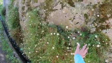 Vila Praia De Ancora üzerinden Camino de Santiago. Camino Portugues. Santiago'nun yolu. Hacılar Yolu.