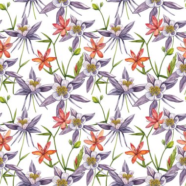 Çift Columbine çiçekleri. Kusursuz desen. El çizilmiş çiçek ve bitkilerin toplanması. Çiçek ve yaprakların suluboya seti, beyaz bir arka plan üzerinde izole el çizilmiş çiçek illüstrasyon. Botanik