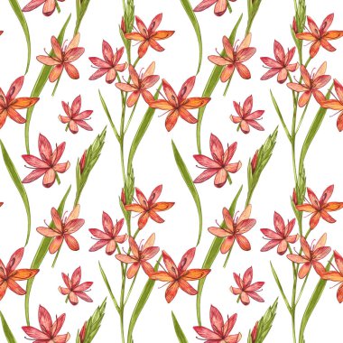 Kafir Zambak çiçekleri. Kusursuz desenler. El çizilmiş çiçek ve bitkilerin toplanması. Botanik. Ayarlamak. Vintage çiçekler. Çiçek ve yaprakların suluboya seti, el çizilmiş çiçek illüstrasyon izole bir