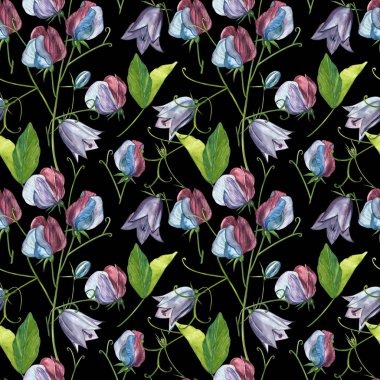 Kusursuz desenler. Tatlı Bezelye çiçek ve yaprakları, el çizilmiş çiçek illüstrasyon beyaz bir arka plan üzerinde izole suluboya seti. Toplama bahçe ve yabani ot, çiçekler, dalları. Botanik sanatı.