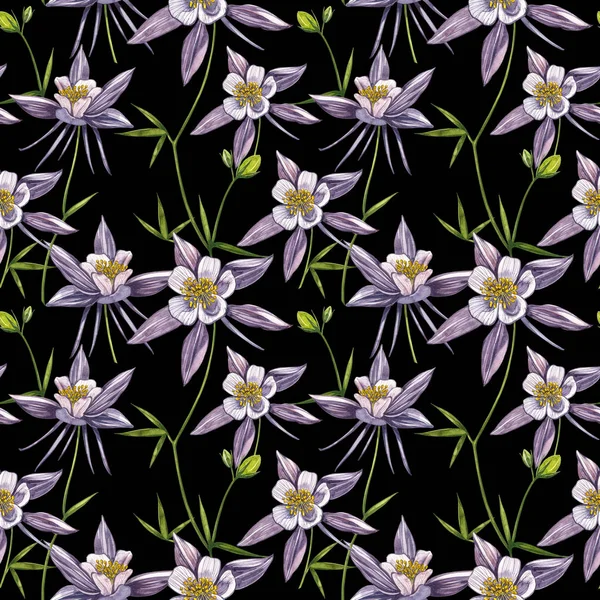 Çift Columbine çiçekleri. Kusursuz desen. El çizilmiş çiçek ve bitkilerin toplanması. Çiçek ve yaprakların suluboya seti, beyaz bir arka plan üzerinde izole el çizilmiş çiçek illüstrasyon. Botanik