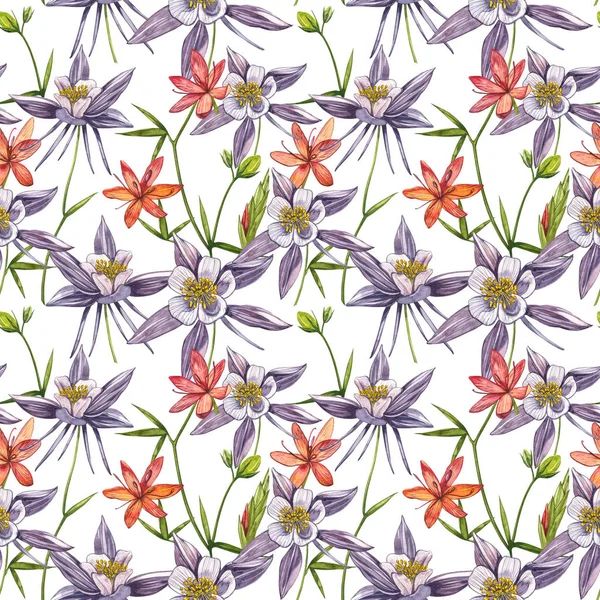 Çift Columbine çiçekleri. Kusursuz desen. El çizilmiş çiçek ve bitkilerin toplanması. Çiçek ve yaprakların suluboya seti, beyaz bir arka plan üzerinde izole el çizilmiş çiçek illüstrasyon. Botanik