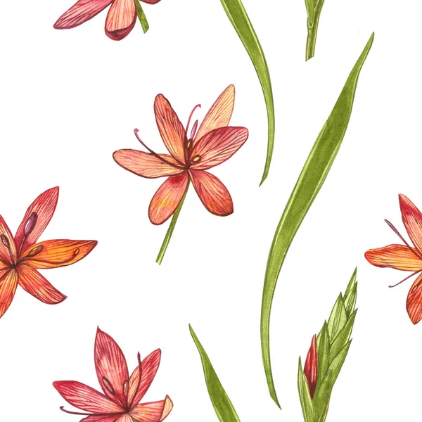 Kafir Zambak çiçekleri. Kusursuz desenler. El çizilmiş çiçek ve bitkilerin toplanması. Botanik. Ayarlamak. Vintage çiçekler. Çiçek ve yaprakların suluboya seti, el çizilmiş çiçek illüstrasyon izole bir