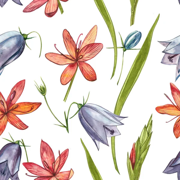 Kafir Zambak çiçekleri. Kusursuz desenler. El çizilmiş çiçek ve bitkilerin toplanması. Botanik. Ayarlamak. Vintage çiçekler. Çiçek ve yaprakların suluboya seti, el çizilmiş çiçek illüstrasyon izole bir