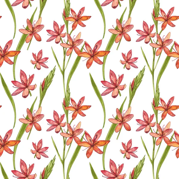 Kafir Zambak çiçekleri. Kusursuz desenler. El çizilmiş çiçek ve bitkilerin toplanması. Botanik. Ayarlamak. Vintage çiçekler. Çiçek ve yaprakların suluboya seti, el çizilmiş çiçek illüstrasyon izole bir