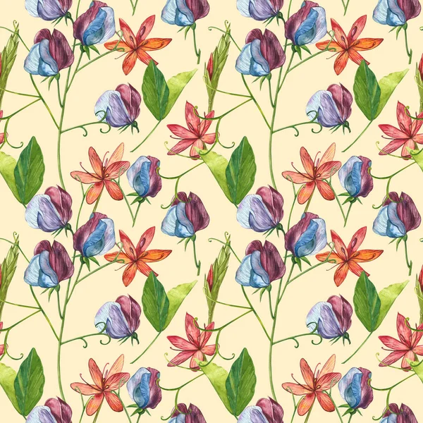 Kusursuz desenler. Tatlı Bezelye çiçek ve yaprakları, el çizilmiş çiçek illüstrasyon beyaz bir arka plan üzerinde izole suluboya seti. Toplama bahçe ve yabani ot, çiçekler, dalları. Botanik sanatı.