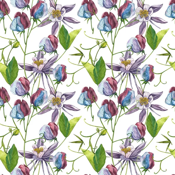 Kusursuz desenler. Tatlı Bezelye çiçek ve yaprakları, el çizilmiş çiçek illüstrasyon beyaz bir arka plan üzerinde izole suluboya seti. Toplama bahçe ve yabani ot, çiçekler, dalları. Botanik sanatı.