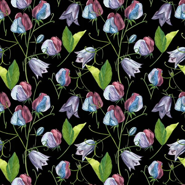 Kusursuz desenler. Tatlı Bezelye çiçek ve yaprakları, el çizilmiş çiçek illüstrasyon beyaz bir arka plan üzerinde izole suluboya seti. Toplama bahçe ve yabani ot, çiçekler, dalları. Botanik sanatı.