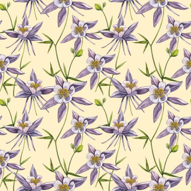 Çift Columbine çiçekleri. Kusursuz desen. El çizilmiş çiçek ve bitkilerin toplanması. Çiçek ve yaprakların suluboya seti, beyaz bir arka plan üzerinde izole el çizilmiş çiçek illüstrasyon. Botanik