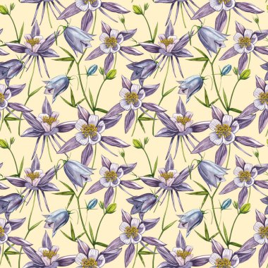 Çift Columbine çiçekleri. Kusursuz desen. El çizilmiş çiçek ve bitkilerin toplanması. Çiçek ve yaprakların suluboya seti, beyaz bir arka plan üzerinde izole el çizilmiş çiçek illüstrasyon. Botanik