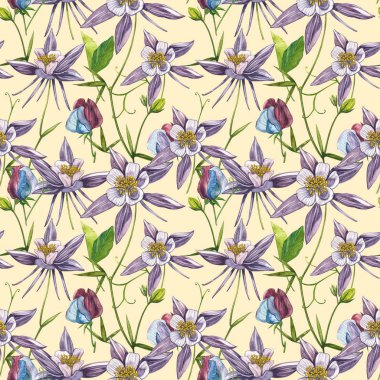 Çift Columbine çiçekleri. Kusursuz desen. El çizilmiş çiçek ve bitkilerin toplanması. Çiçek ve yaprakların suluboya seti, beyaz bir arka plan üzerinde izole el çizilmiş çiçek illüstrasyon. Botanik