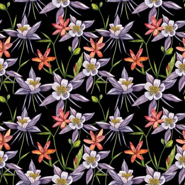 Çift Columbine çiçekleri. Kusursuz desen. El çizilmiş çiçek ve bitkilerin toplanması. Çiçek ve yaprakların suluboya seti, beyaz bir arka plan üzerinde izole el çizilmiş çiçek illüstrasyon. Botanik