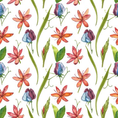 Kafir Zambak çiçekleri. Kusursuz desenler. El çizilmiş çiçek ve bitkilerin toplanması. Botanik. Ayarlamak. Vintage çiçekler. Çiçek ve yaprakların suluboya seti, el çizilmiş çiçek illüstrasyon izole bir