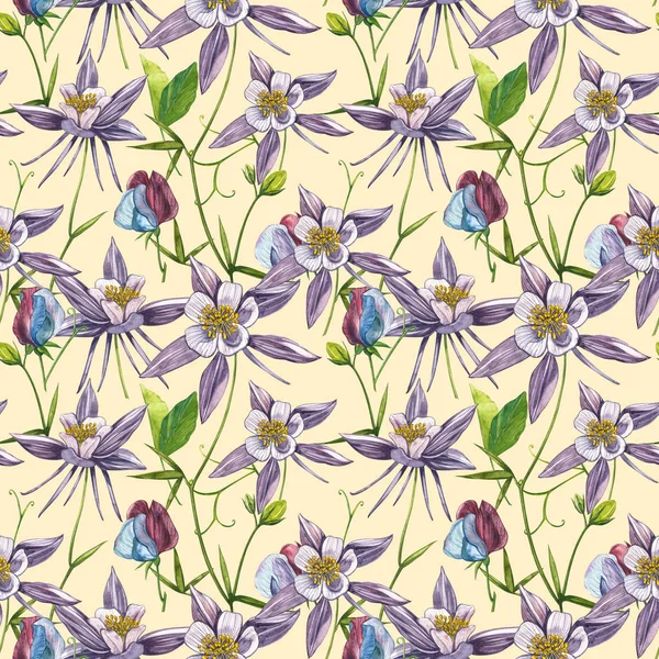 Çift Columbine çiçekleri. Kusursuz desen. El çizilmiş çiçek ve bitkilerin toplanması. Çiçek ve yaprakların suluboya seti, beyaz bir arka plan üzerinde izole el çizilmiş çiçek illüstrasyon. Botanik