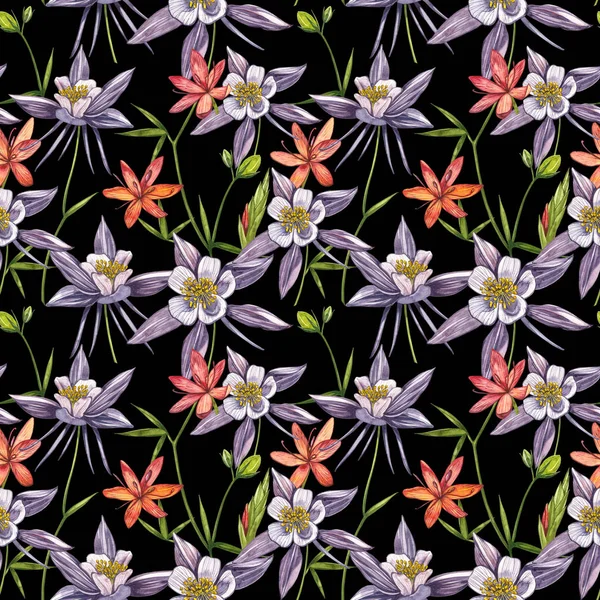 Çift Columbine çiçekleri. Kusursuz desen. El çizilmiş çiçek ve bitkilerin toplanması. Çiçek ve yaprakların suluboya seti, beyaz bir arka plan üzerinde izole el çizilmiş çiçek illüstrasyon. Botanik