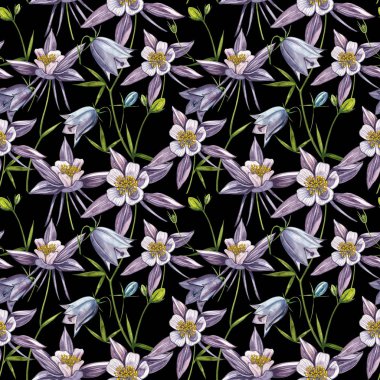 Çift Columbine çiçekleri. Kusursuz desen. El çizilmiş çiçek ve bitkilerin toplanması. Çiçek ve yaprakların suluboya seti, beyaz bir arka plan üzerinde izole el çizilmiş çiçek illüstrasyon. Botanik