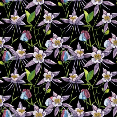 Çift Columbine çiçekleri. Kusursuz desen. El çizilmiş çiçek ve bitkilerin toplanması. Çiçek ve yaprakların suluboya seti, beyaz bir arka plan üzerinde izole el çizilmiş çiçek illüstrasyon. Botanik