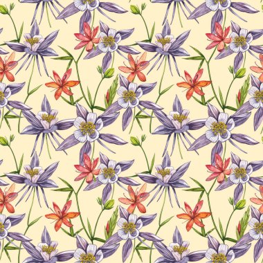 Çift Columbine çiçekleri. Kusursuz desen. El çizilmiş çiçek ve bitkilerin toplanması. Çiçek ve yaprakların suluboya seti, beyaz bir arka plan üzerinde izole el çizilmiş çiçek illüstrasyon. Botanik