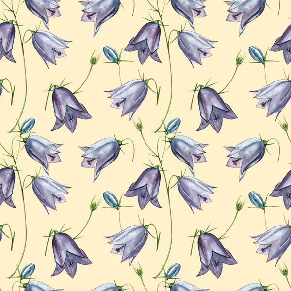 Bellflower Blossoms, löv och buketter set. Sömlösa mönster. Akvarell uppsättning av blommor och löv, handritad blommig illustration isolerad på en vit bakgrund. Botanisk konst. — Stockfoto