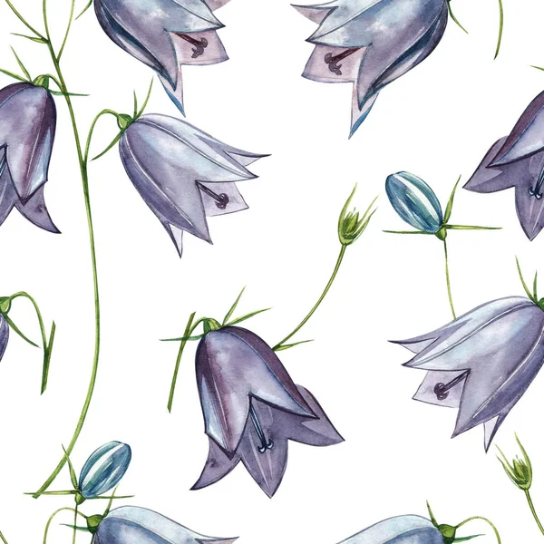 Çan çiçeği çiçekleri, yaprakları ve buketleri ayarlayın. Kusursuz desenler. Çiçek ve yaprakların suluboya seti, beyaz bir arka plan üzerinde izole el çizilmiş çiçek illüstrasyon. Botanik sanatı.