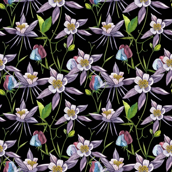 Doppelte Akelei-Blüten. nahtloses Muster. Sammlung handgezeichneter Blumen und Pflanzen. Aquarell-Set von Blumen und Blättern, handgezeichnete florale Illustration isoliert auf weißem Hintergrund. botanisch — Stockfoto