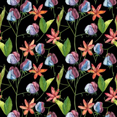 Kusursuz desenler. Tatlı Bezelye çiçek ve yaprakları, el çizilmiş çiçek illüstrasyon beyaz bir arka plan üzerinde izole suluboya seti. Toplama bahçe ve yabani ot, çiçekler, dalları. Botanik sanatı.