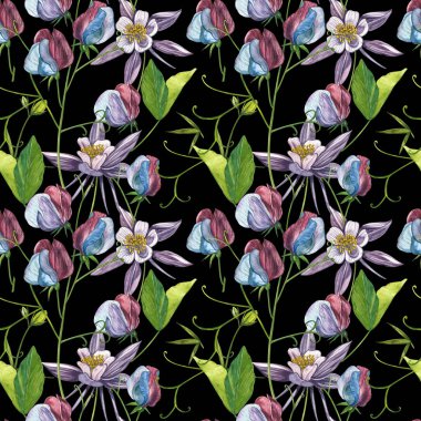 Kusursuz desenler. Tatlı Bezelye çiçek ve yaprakları, el çizilmiş çiçek illüstrasyon beyaz bir arka plan üzerinde izole suluboya seti. Toplama bahçe ve yabani ot, çiçekler, dalları. Botanik sanatı.