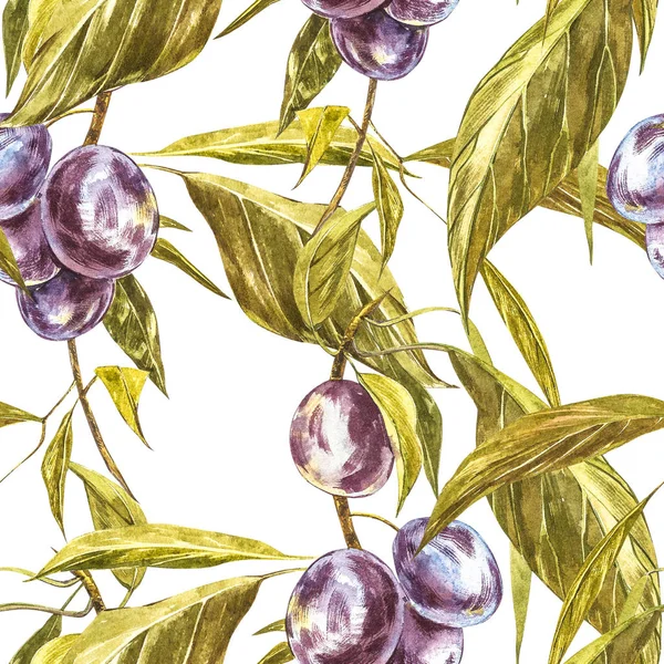 Rijpe pruim en tak met bloemen. Plum tekening aquarel geïsoleerd op witte achtergrond. Aquarel botanische illustratie. Naadloze patronen. — Stockfoto