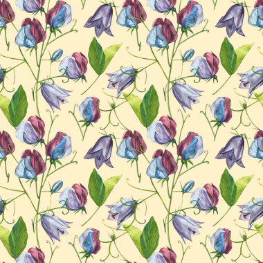 Kusursuz desenler. Tatlı Bezelye çiçek ve yaprakları, el çizilmiş çiçek illüstrasyon beyaz bir arka plan üzerinde izole suluboya seti. Toplama bahçe ve yabani ot, çiçekler, dalları. Botanik sanatı.