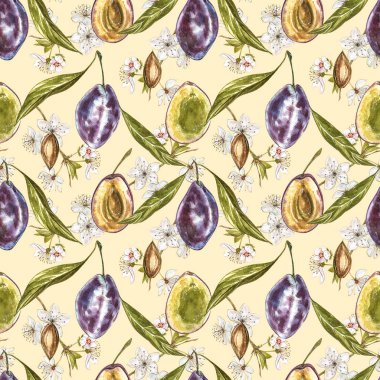 Olgun erik ve çiçek ile dal. Erik çizim suluboya beyaz arka plan üzerinde izole. Suluboya botanik illüstrasyon. Dikişsiz desenler.