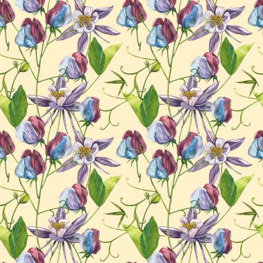 Kusursuz desenler. Tatlı Bezelye çiçek ve yaprakları, el çizilmiş çiçek illüstrasyon beyaz bir arka plan üzerinde izole suluboya seti. Toplama bahçe ve yabani ot, çiçekler, dalları. Botanik sanatı.