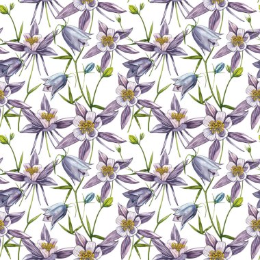 Çift Columbine çiçekleri. Kusursuz desen. El çizilmiş çiçek ve bitkilerin toplanması. Çiçek ve yaprakların suluboya seti, beyaz bir arka plan üzerinde izole el çizilmiş çiçek illüstrasyon. Botanik