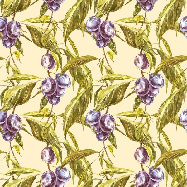 Mogna plommon och gren med blommor. Plommonritning akvarell isolerad på vit bakgrund. Akvarell botanisk illustration. Sömlösa mönster. — Stockfoto