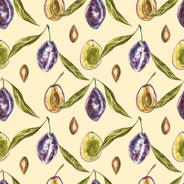 Olgun erik ve çiçek ile dal. Erik çizim suluboya beyaz arka plan üzerinde izole. Suluboya botanik illüstrasyon. Dikişsiz desenler.