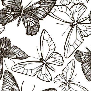 Kelebek siluetleri. Beyaz arka planda yalıtılmış kelebek simgeleri. Grafik illüstrasyon. Dikişsiz desenler