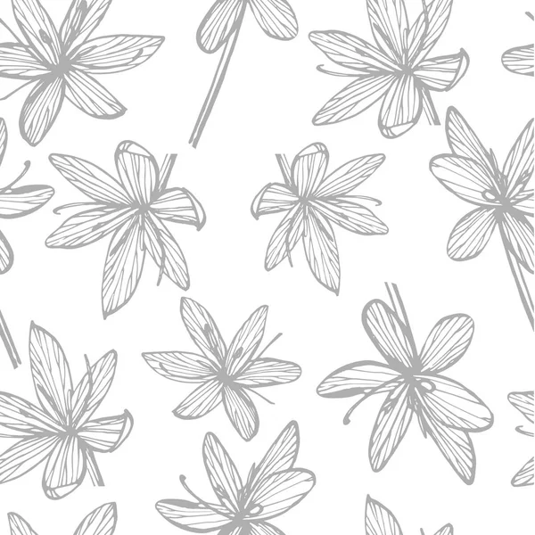 Kafir Lilies flowers. Collection of hand drawn flowers and plants. Botany. Set. Vintage flowers. Black and white illustration in the style of engravings. Seamless pattern — Stock Vector