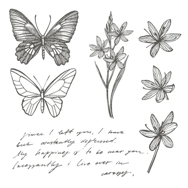 Silhuetas de borboletas. Modelo de cartão de borboleta no chão romântico. Ilustração gráfica. Papel de parede texto abstrato manuscrito —  Vetores de Stock