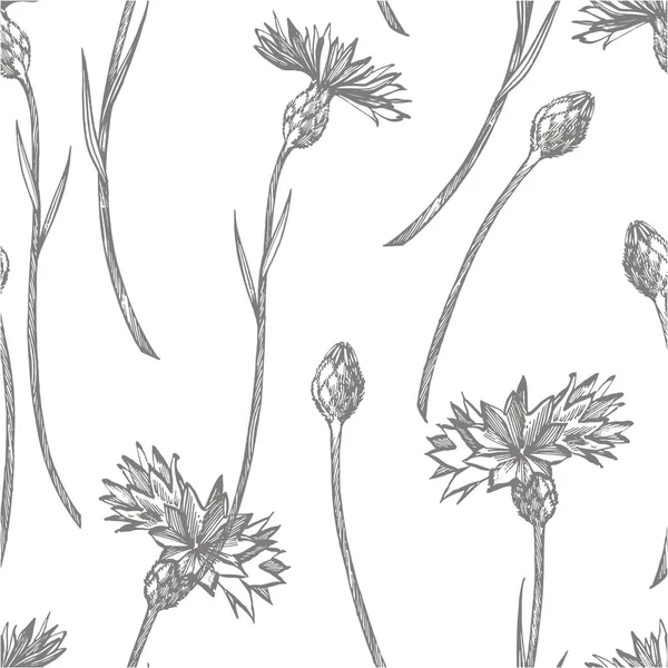 Azul Cornflower Herb ou botão de solteiro buquê de flores isolado no fundo branco. Conjunto de desenho de flores de milho, elementos florais, ilustração botânica desenhada à mão. Padrão sem costura —  Vetores de Stock