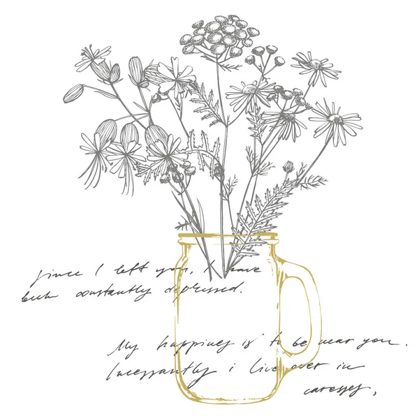 Tansy e Camomila. Buquê de flores e ervas desenhadas à mão. Ilustração botânica da planta. Papel de parede texto abstrato manuscrito —  Vetores de Stock