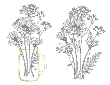 Mavi Cornflower Herb veya bekar düğmesi çiçek buket beyaz arka planda izole. Çizim cornflowers, çiçek elemanları, el çizilmiş botanik illüstrasyon seti